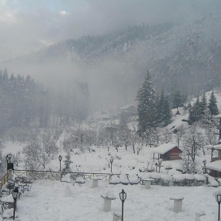 Snow Valley Resorts & Spa Manali Zewnętrze zdjęcie