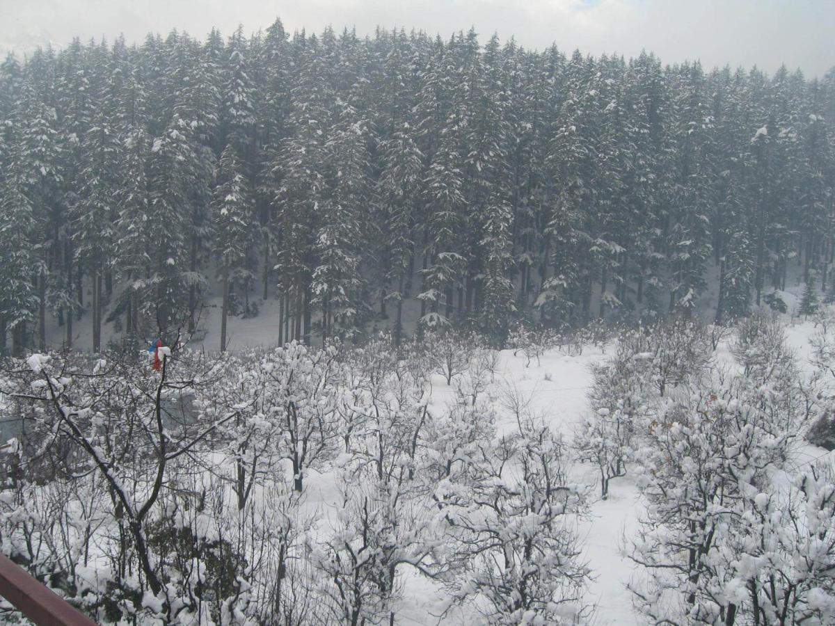 Snow Valley Resorts & Spa Manali Zewnętrze zdjęcie